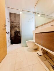 SilverSea (D15), Condominium #483618871